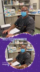 4 devine st, north haven, ct 06473. Central Hospital For Veterinary Medicine Home Facebook