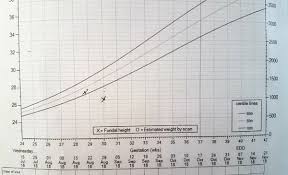 Worrying About Low Fundal Height Growth Chart Madeformums