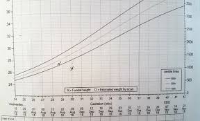 worrying about low fundal height growth chart madeformums