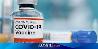 Vaksin covid19 keluaran pfizer telah tiba di malaysia pada februari 2021. Uni Emirat Arab Vaksin Corona Sinopharm 86 Persen Efektif Halaman All Kompas Com