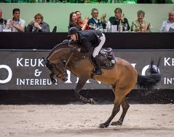 I knew i had to be. Nijhof Over Afscheid Verdi Niks Mooiers Dan Op Indoor Brabant Horses Nl