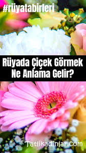 Ruyada Cicek Gormek Ne Anlama Gelir Ruyatabirleri Cicek Ruya Tohum