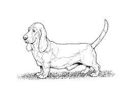 Filled with action and interesting adventures. Dog Breed Coloring Pages 1