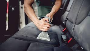 When bed bugs live in your car it can be incredibly irritating for you. Little Black Bugs In A Car How To Get Rid Of Them In 7 Steps