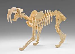 Bag Of Bones Large Saber Tooth Tiger Large Scale 3d By Knifefish 89 00 Wooden Puzzles Cardboard Animals Tiger Gifts