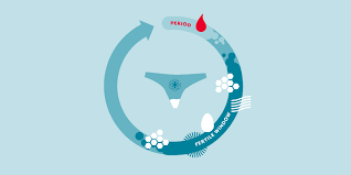 White discharge is a common premenstrual symptom that affects many women, occurring 2 to 4 days before period. What Your Vaginal Discharge Means Cervical Mucus And Cervical Fluid 101