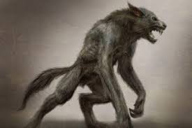 In folklore, a werewolf (old english: A Spell To Become A Werewolf Werewolves