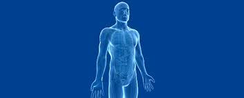 These tests or procedures include: Hernia Craig Sams