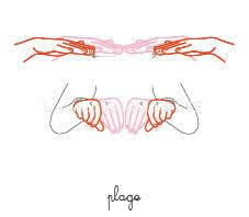 Plage Lsf Lsf Signes Bebe Language Des Signes