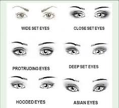 Large (round) eyes are quite expressive, so all you need to do is just make them look a bit more elongated. General Types Of Eye Shapes Wide Set Eyes Close Set Eyes Prominent Download Scientific Diagram