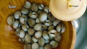 Dengan basuh pake minyak rem atau penetraring oil jika drat karatan. Cara Basuh Kerang Cuci Kerang Dengan Bersih Sekali Sangat Efisien Asmr Video Youtube