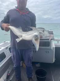 The South West Fishing Report