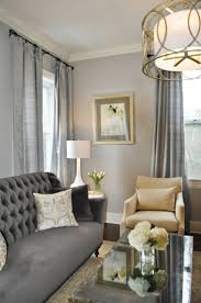6c798b2d6d1ca816cc3f214dcd4366e9 Jpg Jpeg Image 736 1108 Pixels Gold Accents Living Room Gold Living Room Grey Sofa Living Room