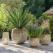 Pots, bacs et jardinières | botanic®