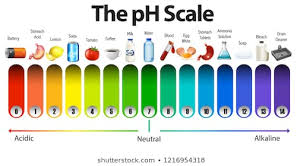 Ph Scale Images Stock Photos Vectors Shutterstock