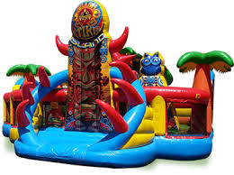 It was extremely clean and in excellent condition. Bounce House Party Rental Denton County Afford A Bounce