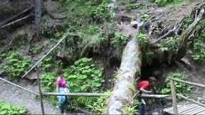 Deși nu este nici cea mai înaltă și nici cu debitul cel mai la cascada duruitoarea se poate ajunge relativ rapid din stațiunea durău. DrumeÈ›ii Montane Din DurÄƒu Cascada Duruitoarea Youtube