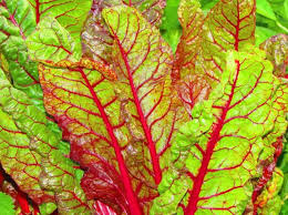 Vertus Et Bienfaits De La Blette Blette Feuilles De Blettes Bette A Carde