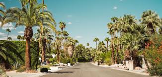 Check spelling or type a new query. Cool Free Things To Do In Palm Springs
