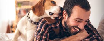 For future installation, maintenance, and service appointments, you may continue to contact the lande heating and air conditioning customer service phone number or you may contact burkholder's. Home Landes