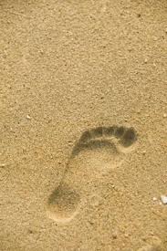 How To Build A Homemade Above Ground Pool Sand Filter Hunker Sand Filter For Pool Pool Sand Pool Filter Sand