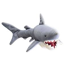 Pin On Celebrating Sharkweek With Kids