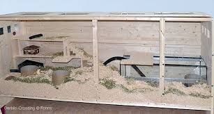 Bauanleitung Terrarium Rennmaus Rennmaus Rennmaus Gehege Degu
