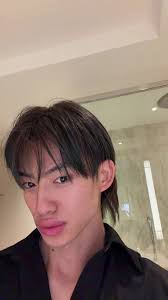 King Henry TikTok Haircut Transformation: Korean Style