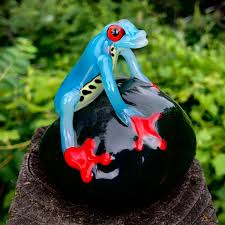 Image result for glass frog