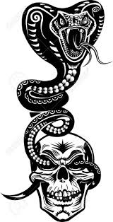 Japanese snake back tattoo for women Snake Tattoo Cobra Und Schadel Lizenzfrei Nutzbare Vektorgrafiken Clip Arts Illustrationen Image 50058199