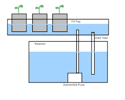 Ebb And Flow Systems For Hydroponic Gardens