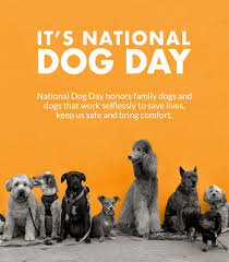 Aside from some extra morning scratches and an additional helping of their favorite foods and snacks, one of the best things you can. Myphoto It S National Dog Day Milled