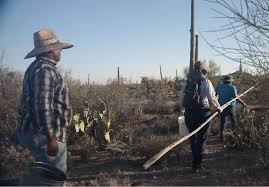 Celebrating Artists At Work Residencies