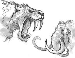 No Agenda Just Sketching Mammoth Smilodon Cat Animals Draw Drawing Sketch Art Instaartist Artistson Smilodon Prehistoric Animals Animal Illustration