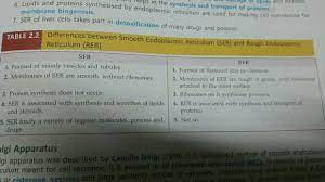 Maybe you would like to learn more about one of these? Main Five Differences Between Smooth Endoplasmic Reticulum And Rough Endoplasmic Reticulum Brainly In
