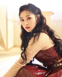 Well you're in luck, because. Who Are Dreamcatcher Members Korebu Com En