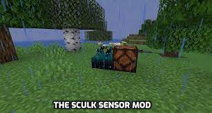 Pin On Sensor
