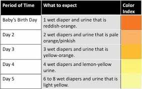 Urine Output In First Few Days Pale Orange Baby Birth