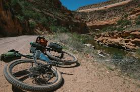 One major difference in animal crossing: Stories Sarah Swallow