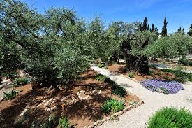 »ich zerbreche beinahe unter der last, die ich zu. Garten Gethsemane 21540 550