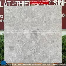 Gạch Terrazzo giả đá xám nhạt hạt to 60x60 KIN-01