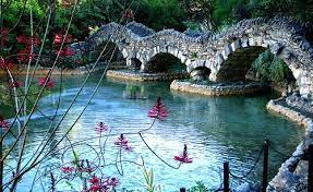 Japanese Tea Garden Brackenridge Park San Antonio Texas Brackenridge Park San Antonio Vacation Texas Adventure