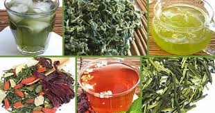 Spring Dragon Longevity Tea Herbalism Medicinal Herbs Japanese Green Tea