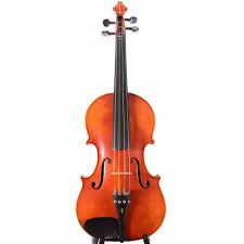 Image result for Viola eminii