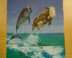 Készíthetünk is ennek örömére valamit Fold Napi Vetelkedo