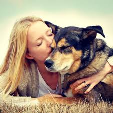 Maybe you would like to learn more about one of these? Senior Pet Care Veterinarian In Vancouver Wa Companion Pet Clinic Cascade Park
