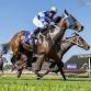 Pinjarra Park  - Festive Race  Carnival Opening event image
