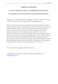 Image result for Decorsea schlechteri