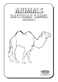 We did not find results for: Cool Colouring Pages Camel Teaching Resources