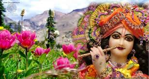 Beautiful radha krishna images 2021, hd divine radha krishna love images, radha krishna couple background images. Lord Krishna Wallpapers Radha Pics Hd Images Kanha 3d Wallpaper